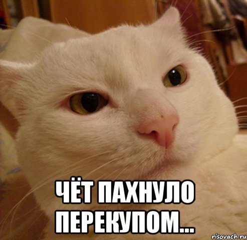  Чёт пахнуло перекупом..., Мем Дерзкий котэ
