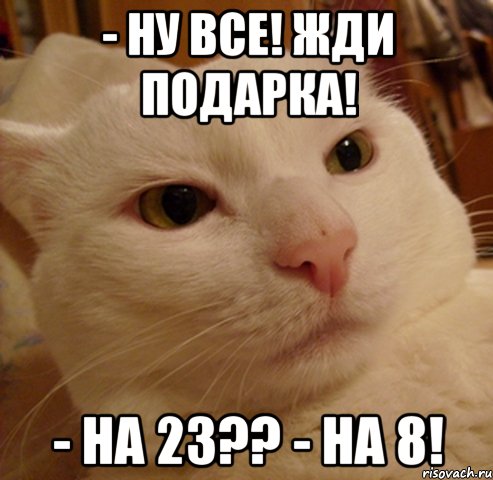 - ну все! Жди подарка! - на 23?? - на 8!, Мем Дерзкий котэ