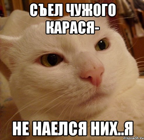 съел чужого карася- не наелся них..я, Мем Дерзкий котэ