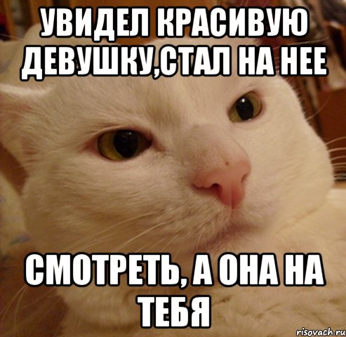 увидел красивую девушку,стал на нее смотреть, а она на тебя, Мем Дерзкий котэ