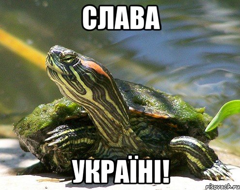СЛАВА УКРАЇНІ!