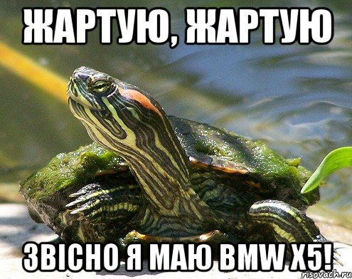 Жартую, жартую звісно я маю BMW x5!