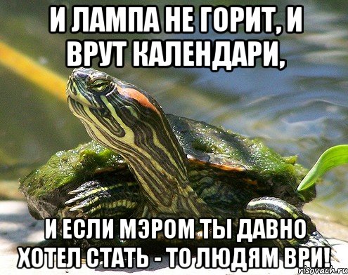 И лампа не горит, и врут календари, И если мэром ты давно хотел стать - то людям ври!
