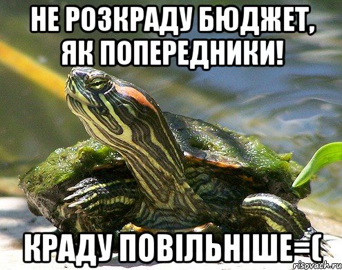 Не розкраду бюджет, як попередники! Краду повільніше=(