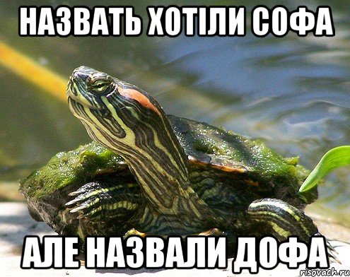 Назвать хотіли софа але назвали дофа
