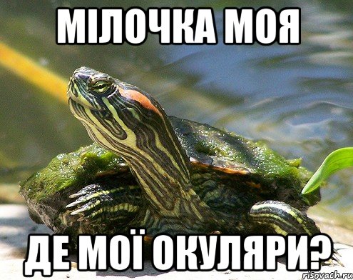 мілочка моя де мої окуляри?