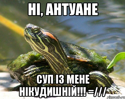 Ні, Антуане СУП ІЗ МЕНЕ НІКУДИШНІЙ!!! =///
