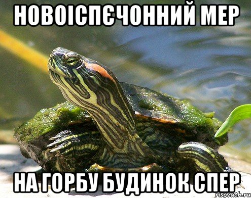 новоіспєчонний мер на горбу будинок спер