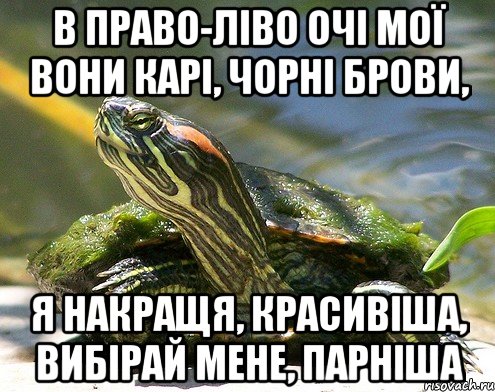 в право-ліво очі мої вони карі, чорні брови, я накращя, красивіша, вибірай мене, парніша