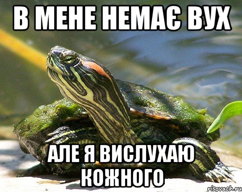 в мене немає вух але я вислухаю кожного
