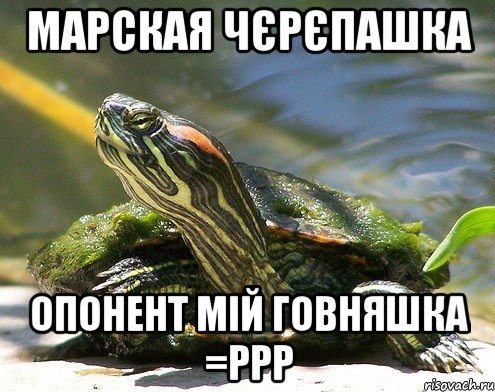 марская чєрєпашка опонент мій говняшка =РРР