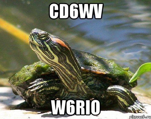 Cd6Wv W6rIO