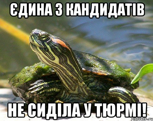 Єдина з кандидатів не сиділа у тюрмі!
