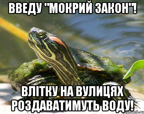 Введу "Мокрий закон"! Влітку на вулицях роздаватимуть воду!