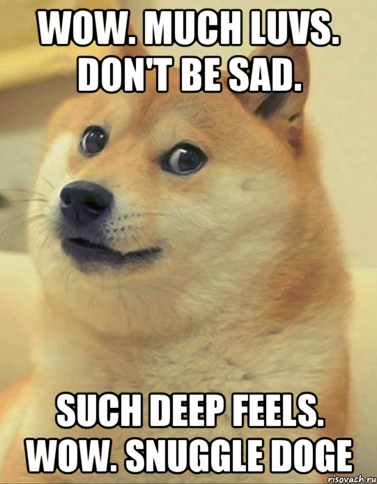 wow. much luvs. don't be sad. such deep feels. wow. snuggle doge, Мем doge woof