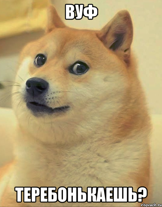 вуф теребонькаешь?, Мем doge woof