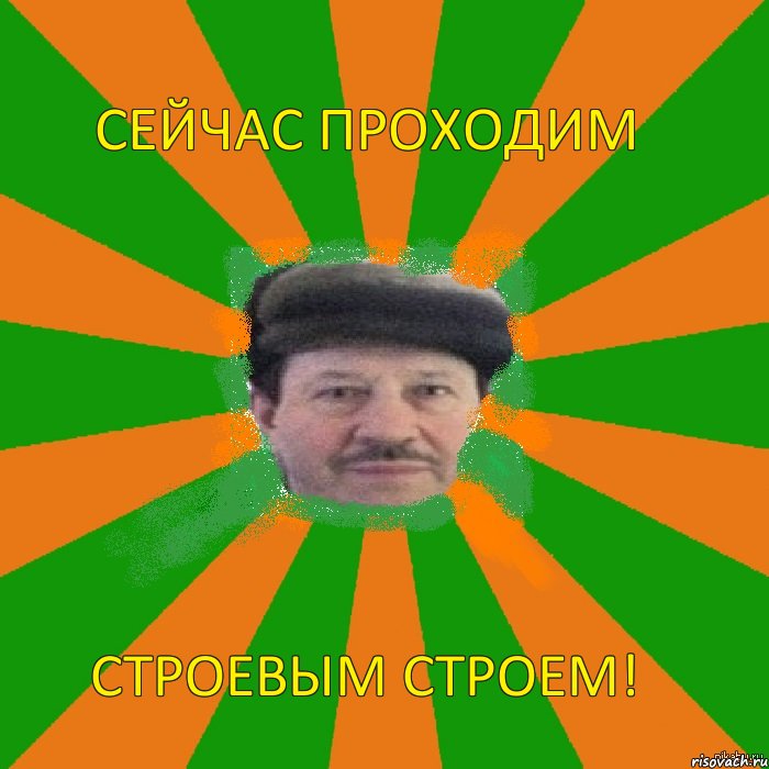 Сейчас проходим строевым строем!, Комикс Долгов