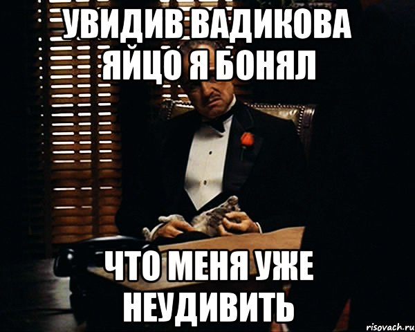 увидив вадикова яйцо я бонял что меня уже неудивить, Мем Дон Вито Корлеоне