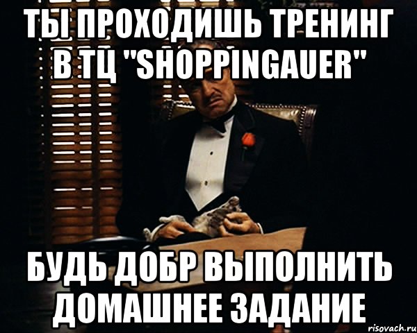 Ты проходишь тренинг в ТЦ "Shoppingauer" Будь добр выполнить домашнее задание, Мем Дон Вито Корлеоне