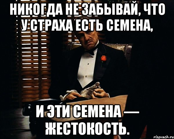 Никогда не забывай, что у страха есть семена, и эти семена — жестокость., Мем Дон Вито Корлеоне