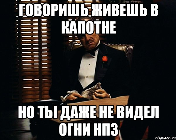 говоришь живешь в Капотне но ты даже не видел огни НПЗ, Мем Дон Вито Корлеоне