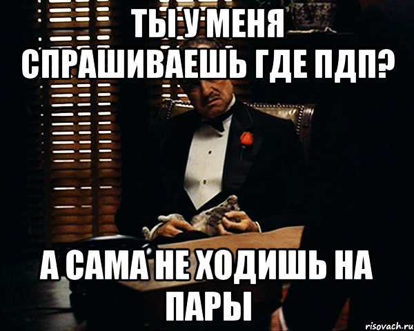 ты у меня спрашиваешь где пдп? а сама не ходишь на пары, Мем Дон Вито Корлеоне