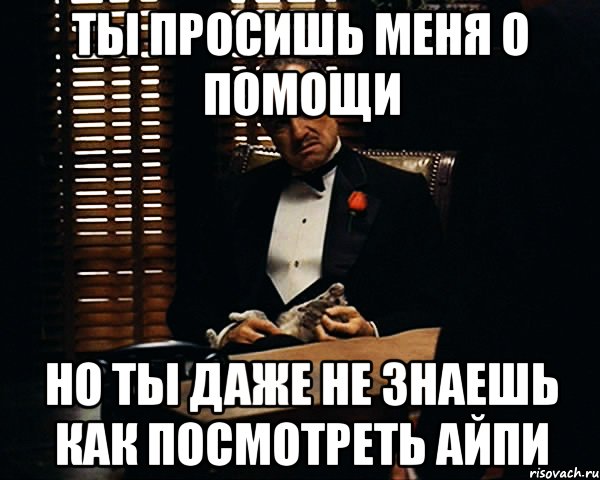 ТЫ ПРОСИШЬ МЕНЯ О ПОМОЩИ НО ТЫ ДАЖЕ НЕ ЗНАЕШЬ КАК ПОСМОТРЕТЬ АЙПИ, Мем Дон Вито Корлеоне