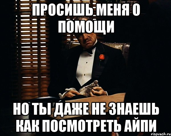 ПРОСИШЬ МЕНЯ О ПОМОЩИ НО ТЫ ДАЖЕ НЕ ЗНАЕШЬ КАК ПОСМОТРЕТЬ АЙПИ, Мем Дон Вито Корлеоне