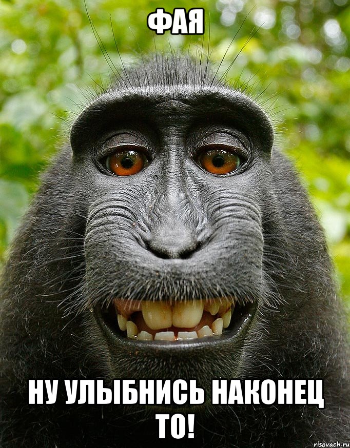 Фая Ну улыбнись наконец то!, Мем  Довольная обезьяна