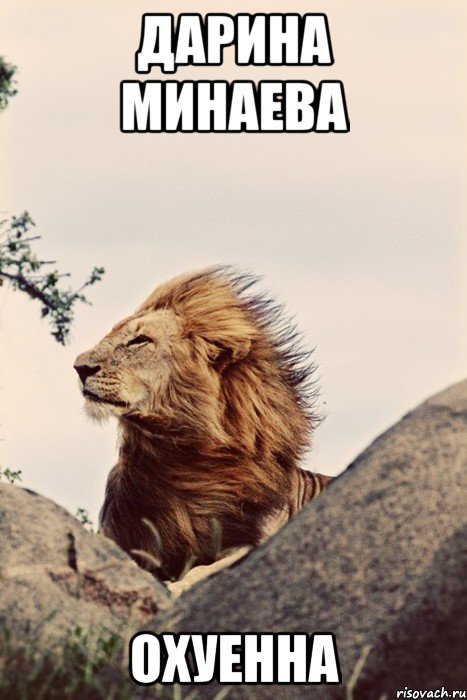 Дарина Минаева Охуенна
