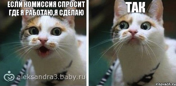 Если комиссия спросит где я работаю,я сделаю ТАК