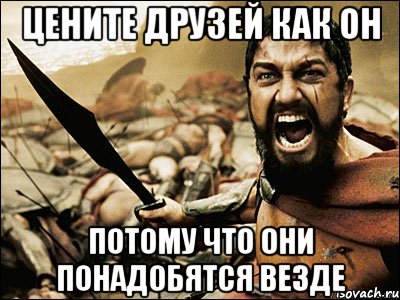 Цените друзей как он Потому что они понадобятся везде, Мем Это Спарта