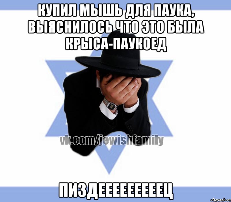Купил мышь для паука, выяснилось что это была крыса-паукоед пиздееееееееец, Мем Еврей плачет