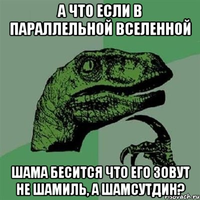 а что если в параллельной вселенной Шама бесится что его зовут не Шамиль, а Шамсутдин?, Мем Филосораптор