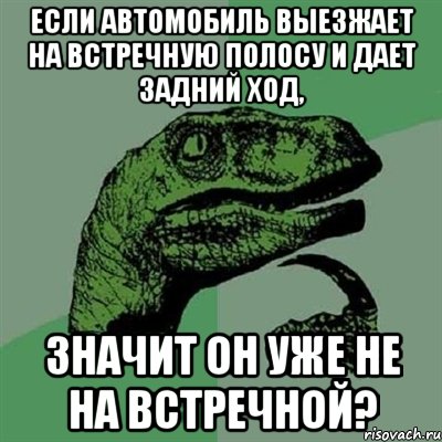 Если автомобиль выезжает на встречную полосу и дает задний ход, значит он уже не на встречной?, Мем Филосораптор