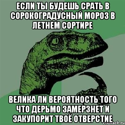 Если ты будешь срать в сорокоградусный мороз в летнем сортире Велика ли вероятность того что дерьмо замерзнет и закупорит твоё отверстие, Мем Филосораптор