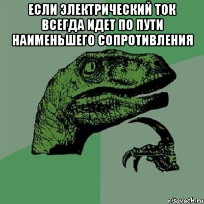 ЕСЛИ ЭЛЕКТРИЧЕСКИЙ ТОК ВСЕГДА ИДЕТ ПО ПУТИ НАИМЕНЬШЕГО СОПРОТИВЛЕНИЯ , Мем Филосораптор