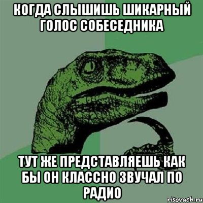 Когда слышишь шикарный голос собеседника Тут же представляешь как бы он классно звучал по радио, Мем Филосораптор