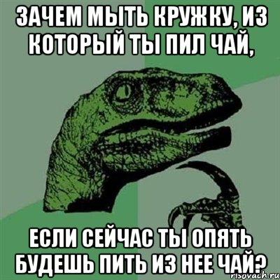 зачем мыть кружку, из который ты пил чай, если сейчас ты опять будешь пить из нее чай?, Мем Филосораптор