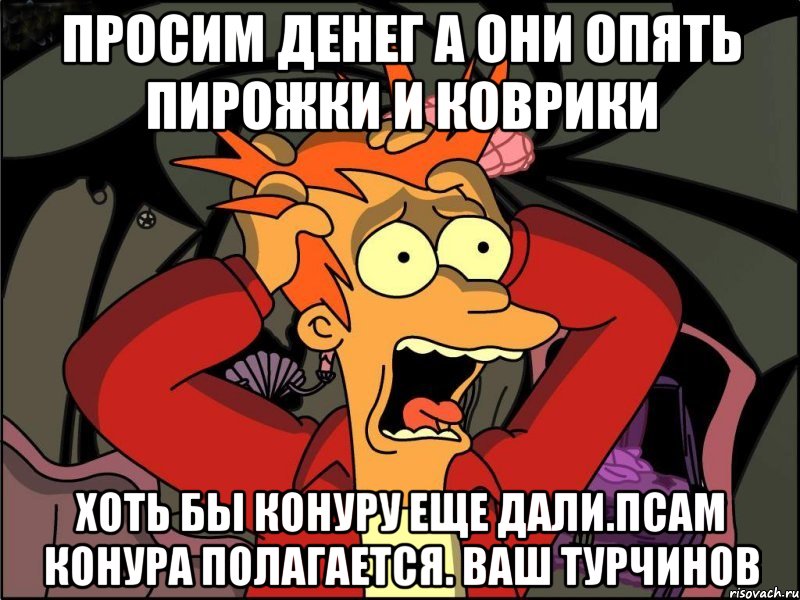 Просим денег а они опять пирожки и коврики Хоть бы конуру еще дали.псам конура полагается. Ваш Турчинов, Мем Фрай в панике