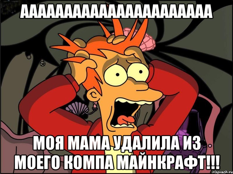 aaaaaaaaaaaaaaaaaaaaaa моя мама удалила из моего компа майнкрафт!!!, Мем Фрай в панике