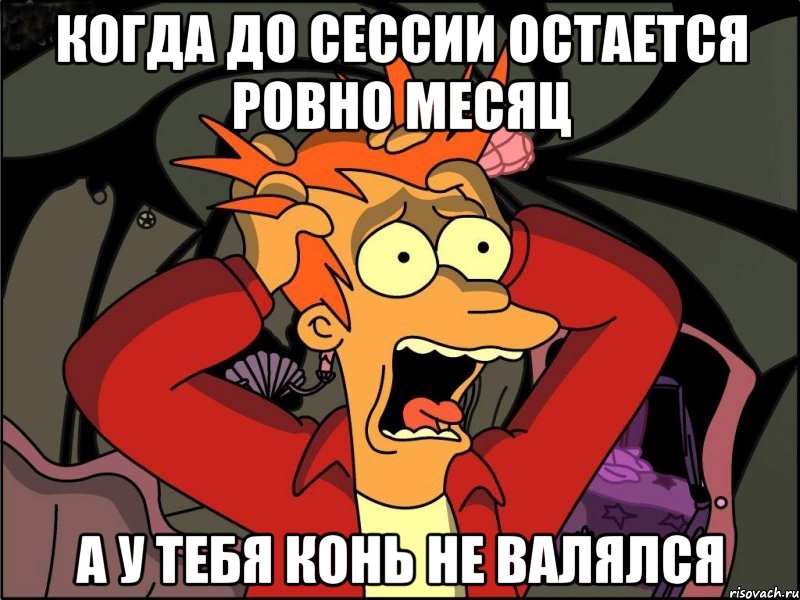 Когда до сессии остается ровно месяц а у тебя конь не валялся, Мем Фрай в панике