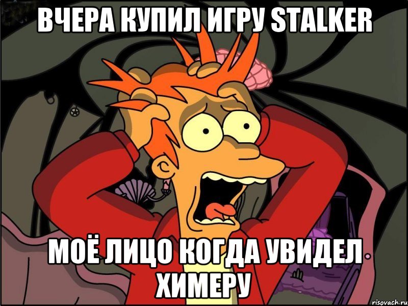 вчера купил игру stalker моё лицо когда увидел химеру, Мем Фрай в панике