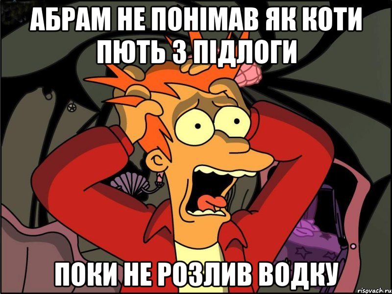 Абрам не понімав як коти пють з підлоги поки не розлив водку, Мем Фрай в панике