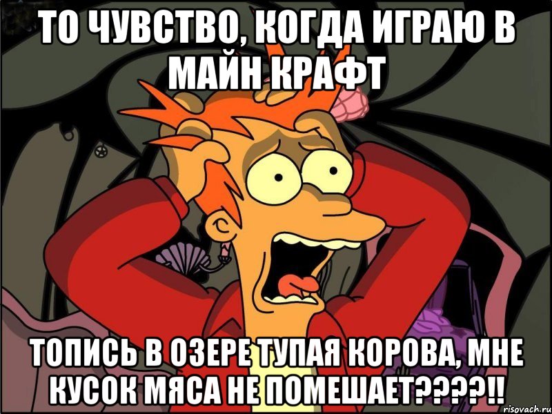 То чувство, когда играю в майн крафт Топись в озере тупая корова, мне кусок мяса не помешает????!!, Мем Фрай в панике