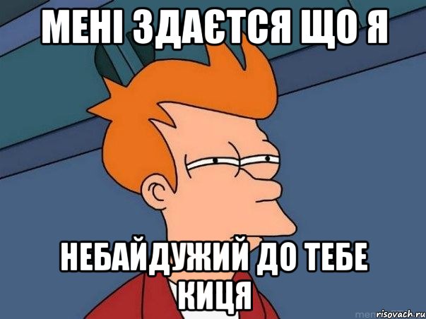 Мені здаєтся що Я небайдужий до Тебе киця, Мем  Фрай (мне кажется или)