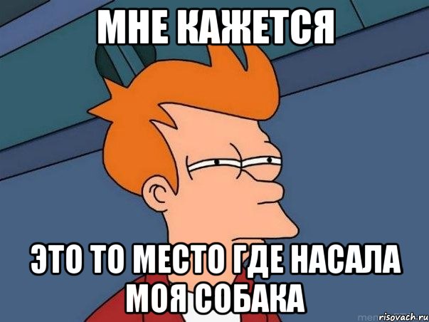 Мне кажется Это то место где насала моя Собака, Мем  Фрай (мне кажется или)