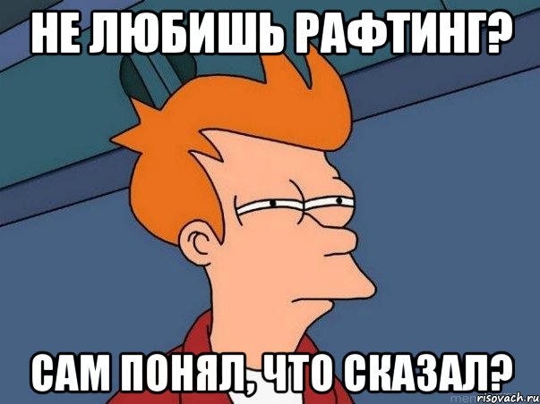 не любишь рафтинг? сам понял, что сказал?, Мем  Фрай (мне кажется или)