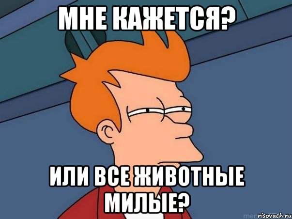 Мне кажется? Или все животные милые?, Мем  Фрай (мне кажется или)