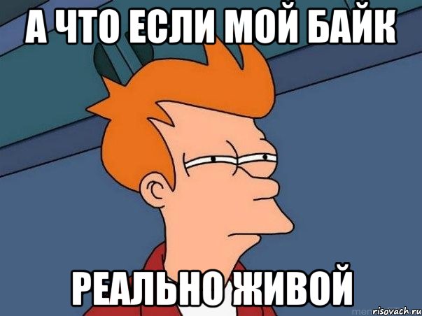 А что если мой байк реально живой, Мем  Фрай (мне кажется или)